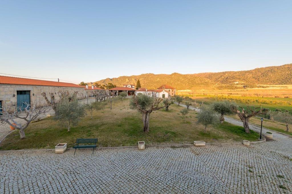 Villa Quinta Sta Luzia Carrascal à Vila Flor Extérieur photo