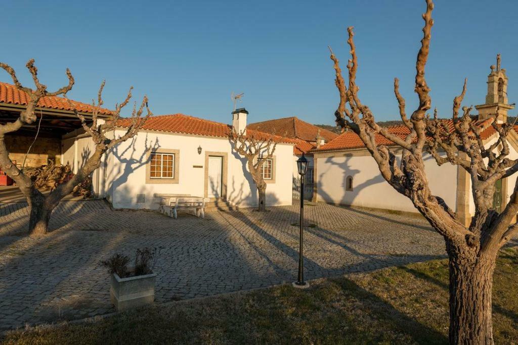 Villa Quinta Sta Luzia Carrascal à Vila Flor Extérieur photo